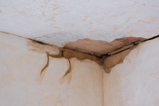 Best Residential water damage restoration  in Landis, NC