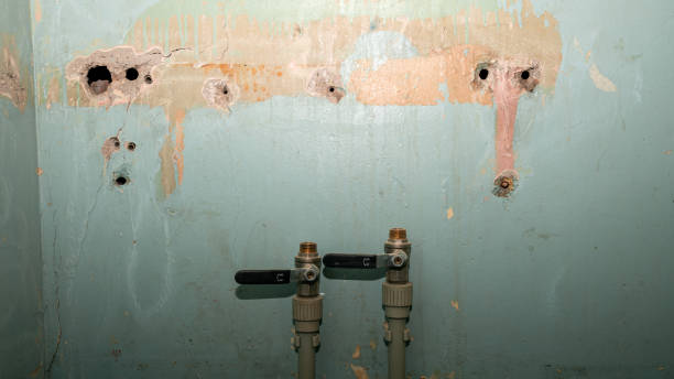 Best Water damage restoration near me  in Landis, NC