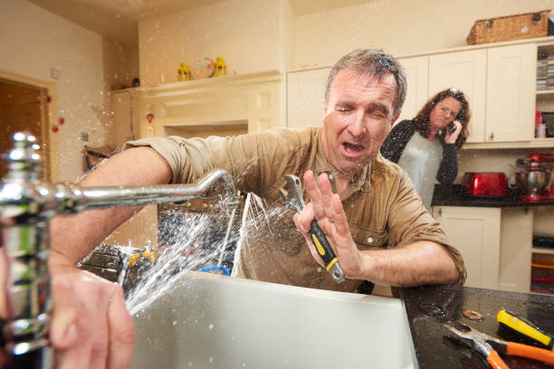 Best Flood damage cleanup  in Landis, NC